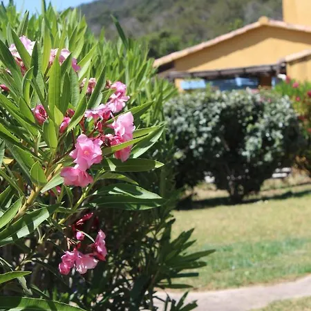Villa A Casa Di Palombaggia - Piscine *