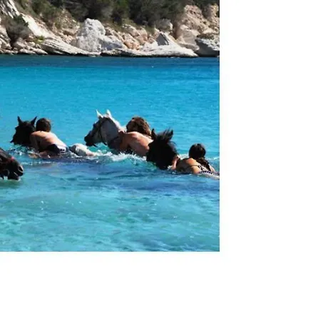 Villa A Casa Di Palombaggia - Piscine Chauffee Porto Vecchio