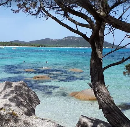 Villa A Casa Di Palombaggia - Piscine Chauffee Porto Vecchio